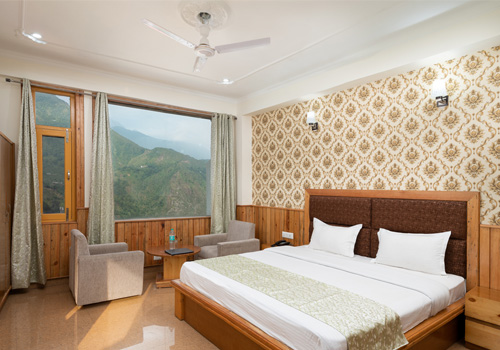 hotelmountviewhimachalpradesh